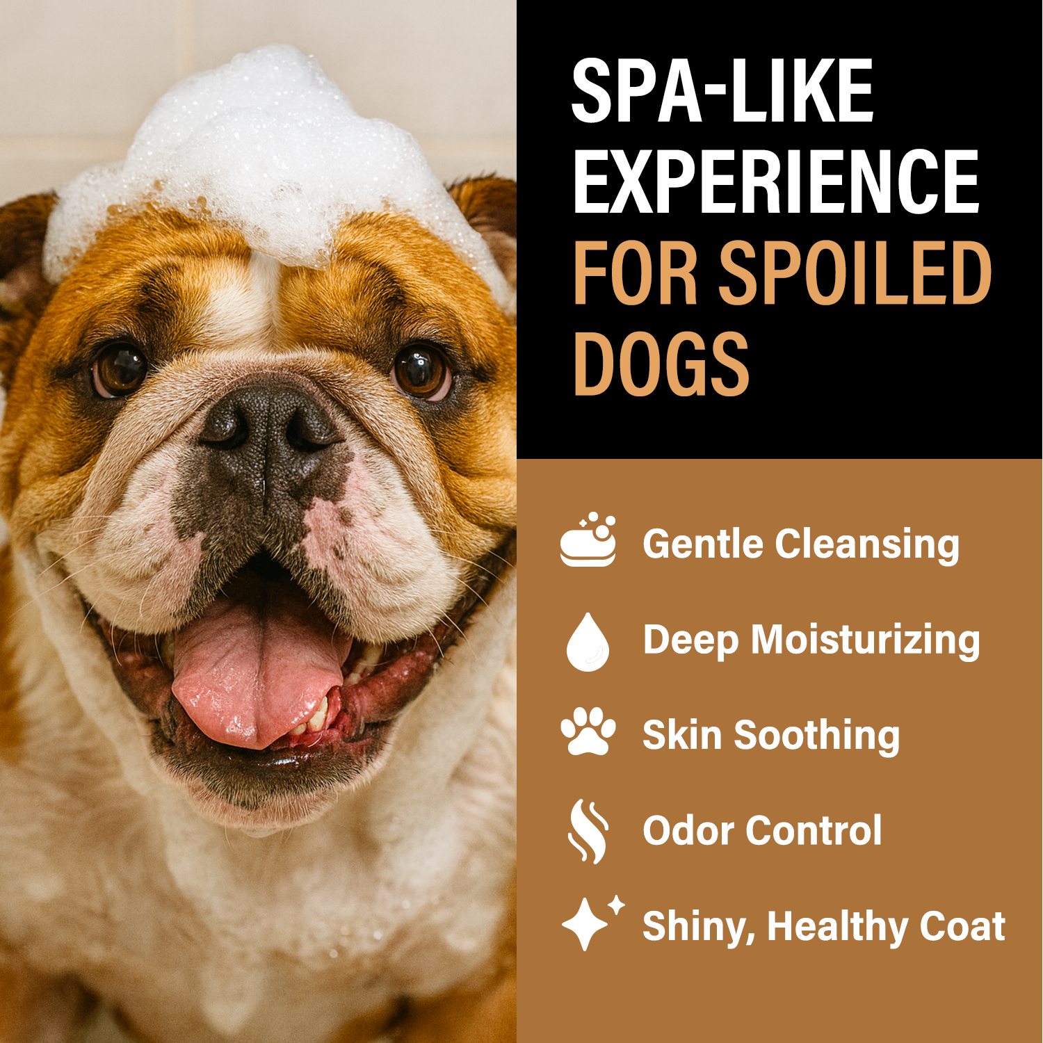 CRANBERRY SPICE LUXE DOG FOAMING SHAMPOO