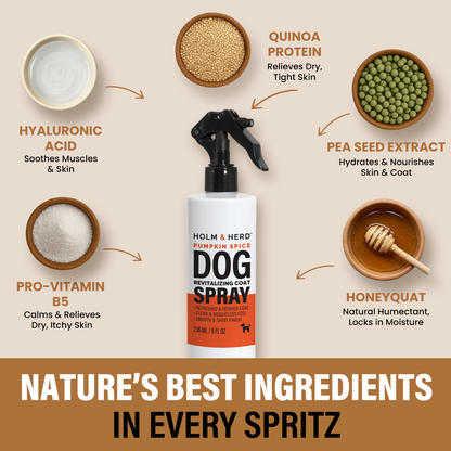 PUMPKIN SPICE LUXE DOG REVITALIZING COAT SPRAY