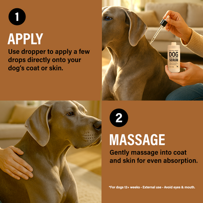 UNSCENTED DOG SKIN &amp; COAT SERUM