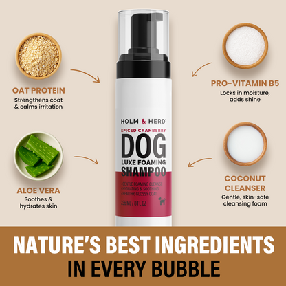 CRANBERRY SPICE LUXE DOG FOAMING SHAMPOO