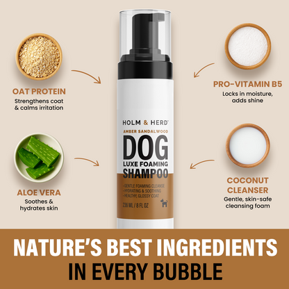 AMBER SANDALWOOD LUXE DOG FOAMING SHAMPOO