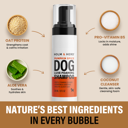PUMPKIN SPICE LUXE DOG FOAMING SHAMPOO