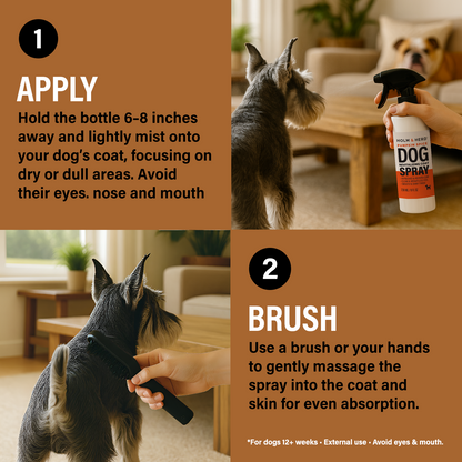 PUMPKIN SPICE LUXE DOG REVITALIZING COAT SPRAY