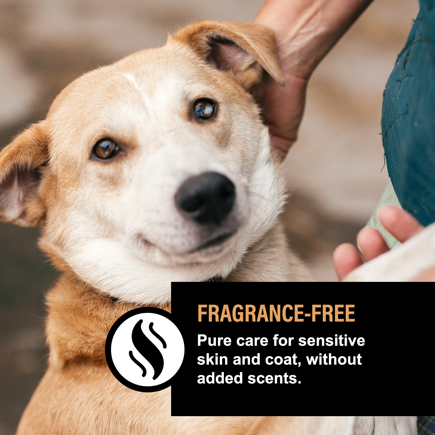 UNSCENTED DOG SKIN &amp; COAT SERUM