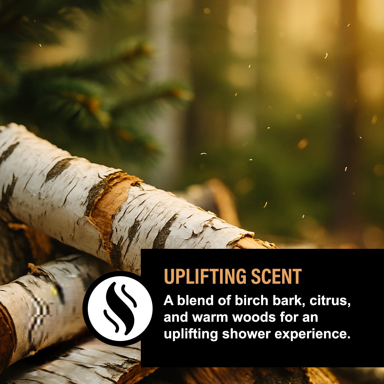 Cracklin Birch Luxe Foaming Hair and Body Wash Concentrate