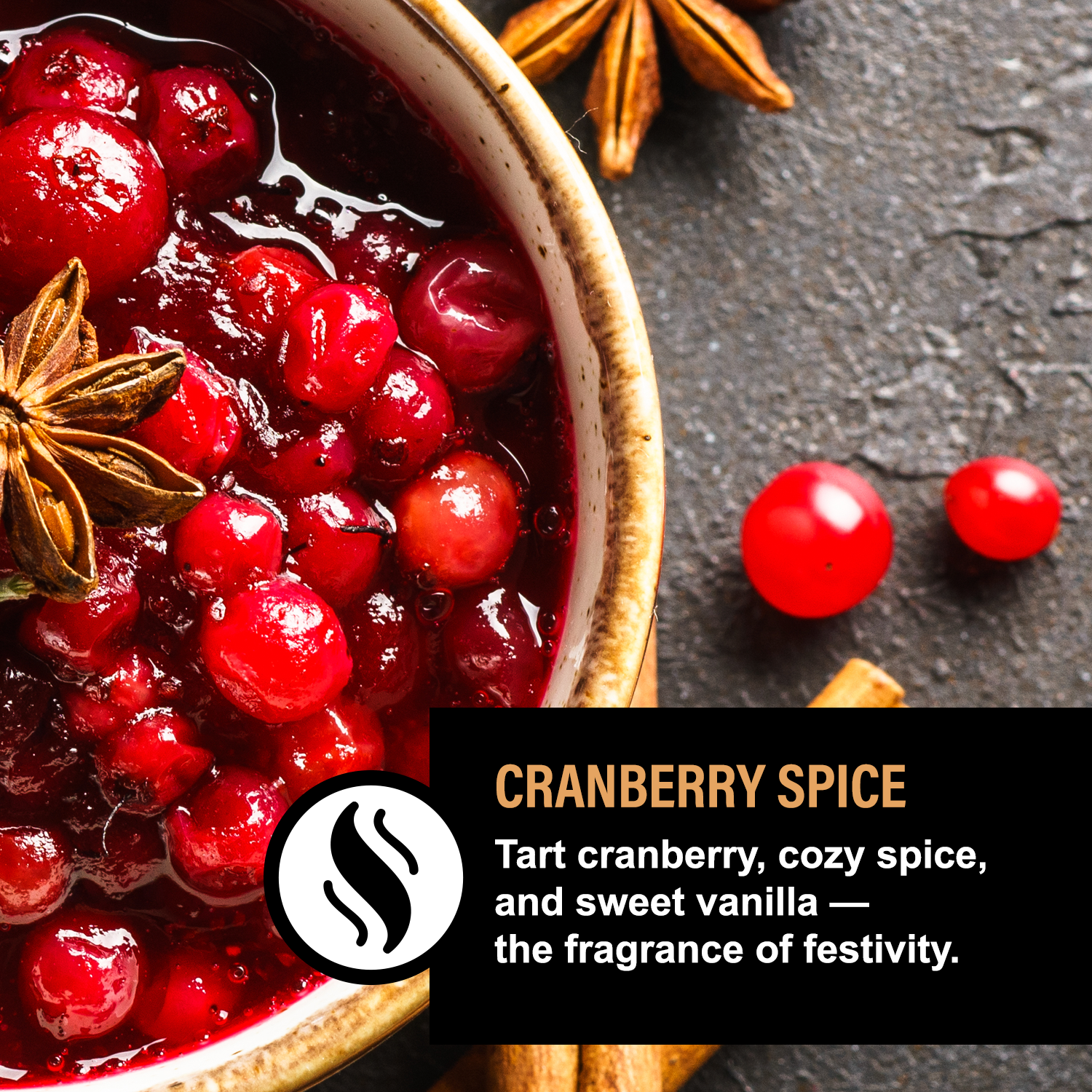 CRANBERRY SPICE LUXE DOG REVITALIZING COAT SPRAY