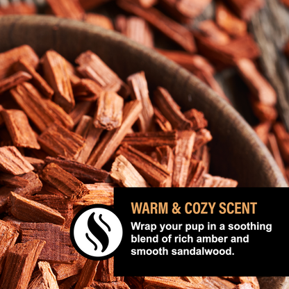 AMBER SANDALWOOD LUXE DOG CARE GIFT BUNDLE