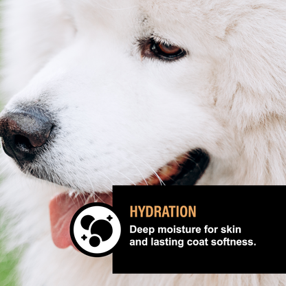 UNSCENTED DOG SKIN &amp; COAT SERUM