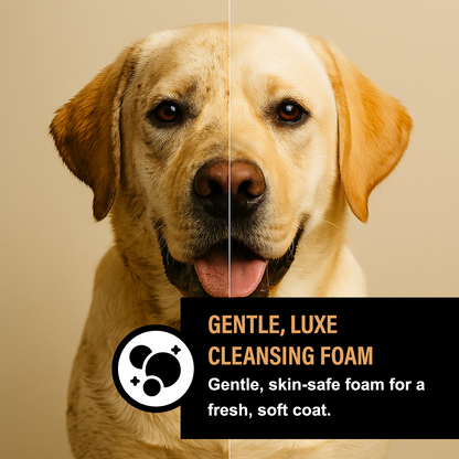 CRANBERRY SPICE LUXE DOG FOAMING SHAMPOO