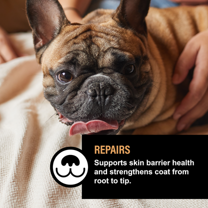 UNSCENTED DOG SKIN &amp; COAT SERUM
