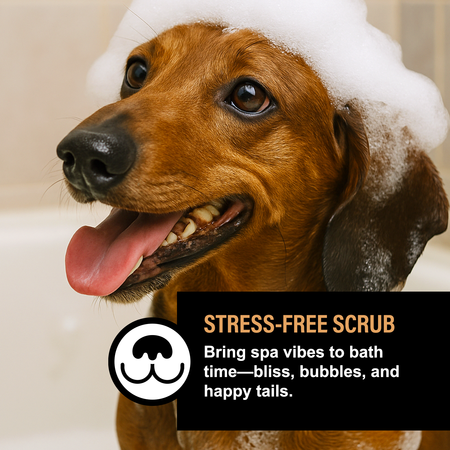 CRANBERRY SPICE LUXE DOG FOAMING SHAMPOO